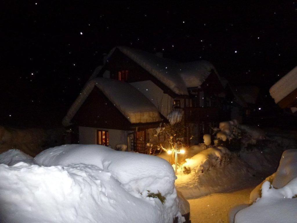 Ferienhaus Waldsicht フラッハウ エクステリア 写真