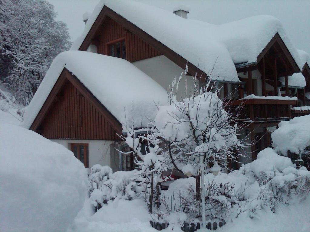 Ferienhaus Waldsicht フラッハウ エクステリア 写真